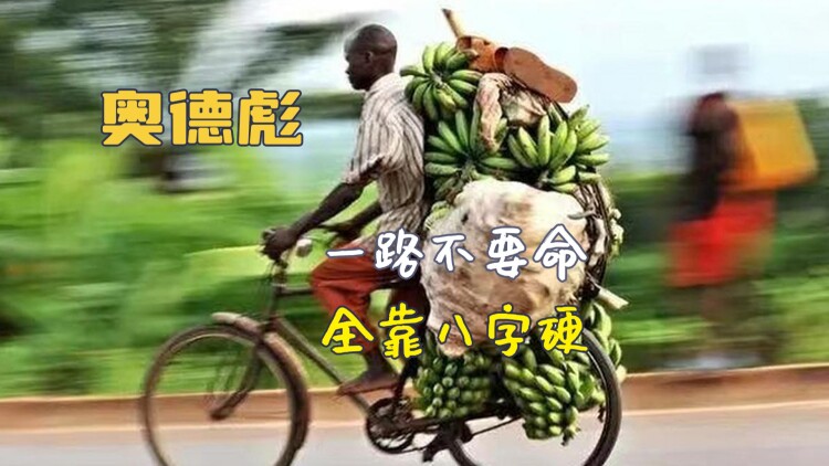 拍拍平台：一个可信赖的二手交易市场？