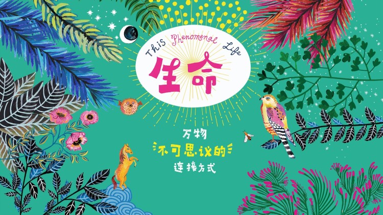 外星女生柴小七