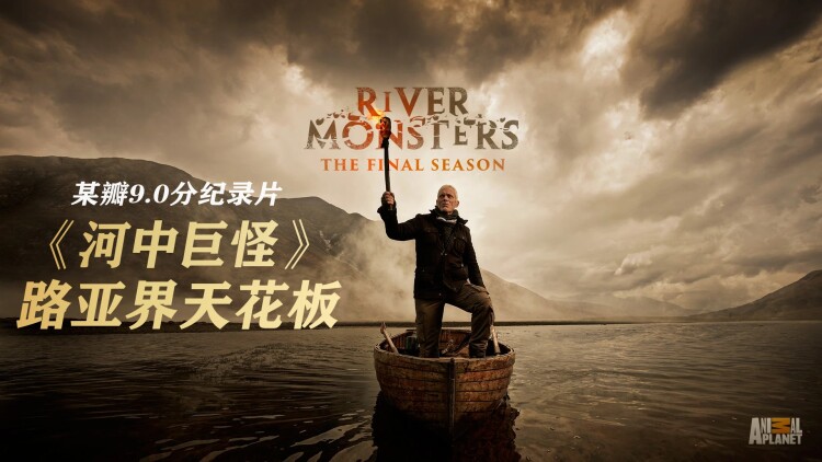 《完蛋京圈太子爷是恋爱脑》的意外邂逅