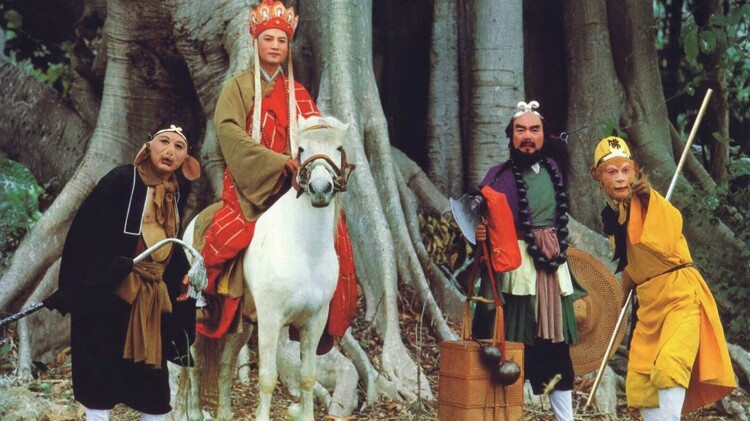 婚情漫漫律师老婆拒离婚的斗智较量