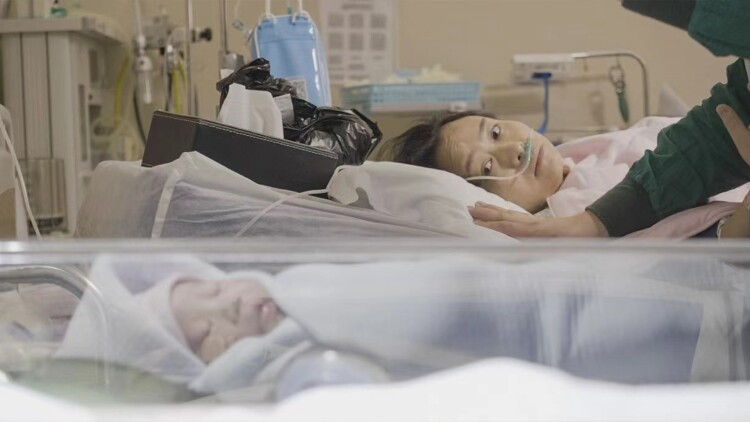 瞬息万变的真心