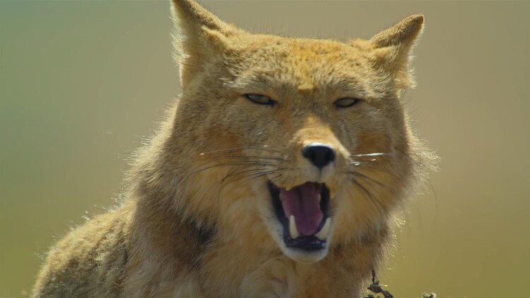 与雪女同行吃蟹