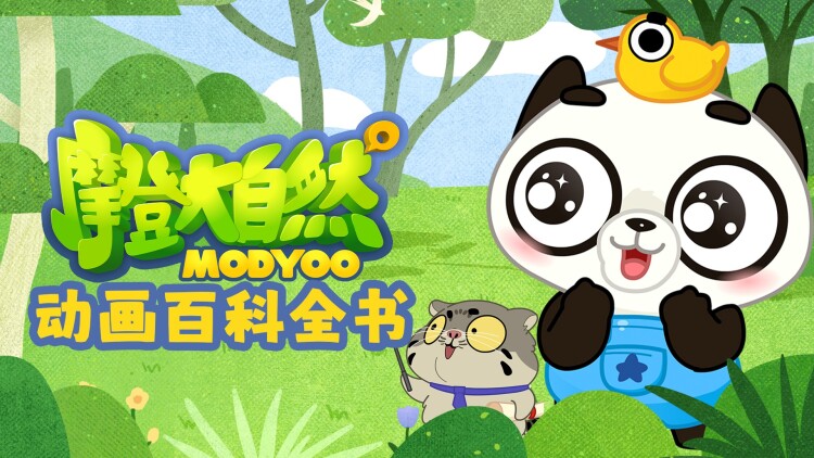 隐私与社交场合的考量