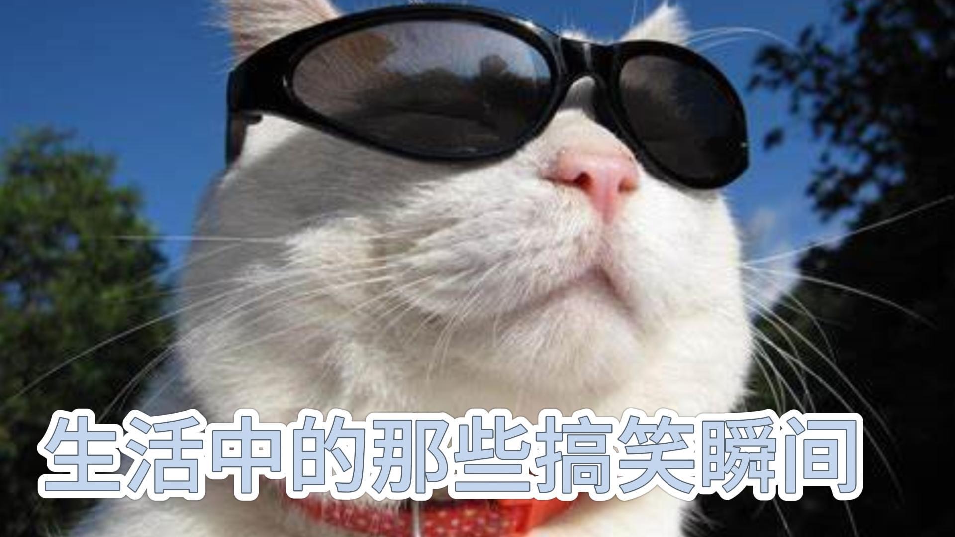 再见烦恼_真的是行行出状元_综艺_高清完整版视频在线观看_腾讯视频