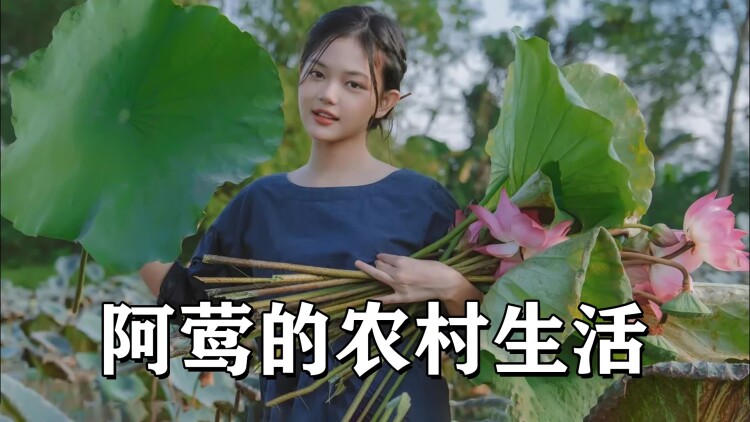 小龙的飞驰人生