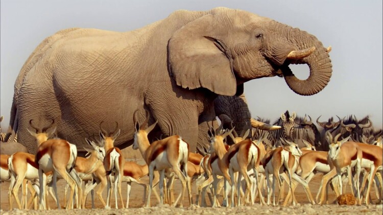 我竟被女魔头豢养了