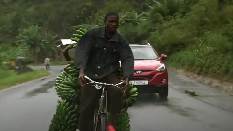 自主公民的成长与未来