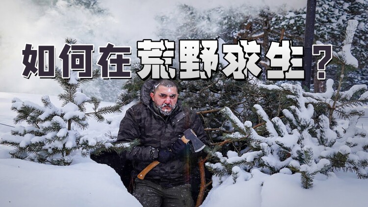 绿叶对根的情意