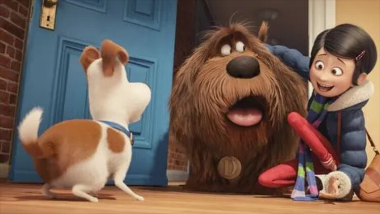 终将散去的尾迹云的意外转折