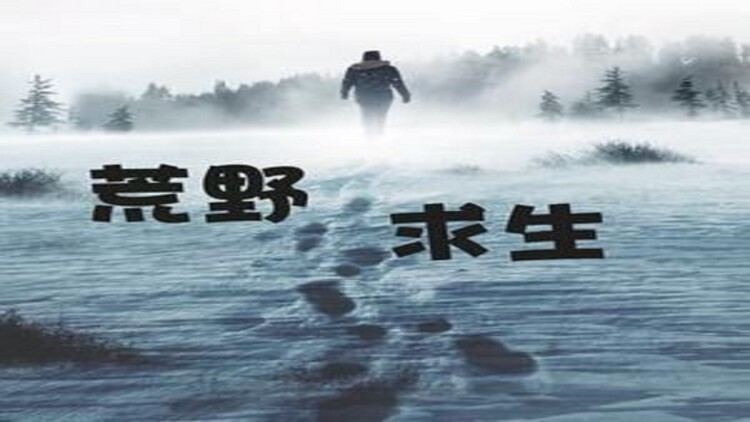 就这样...第三季·新的开始与旧日回忆