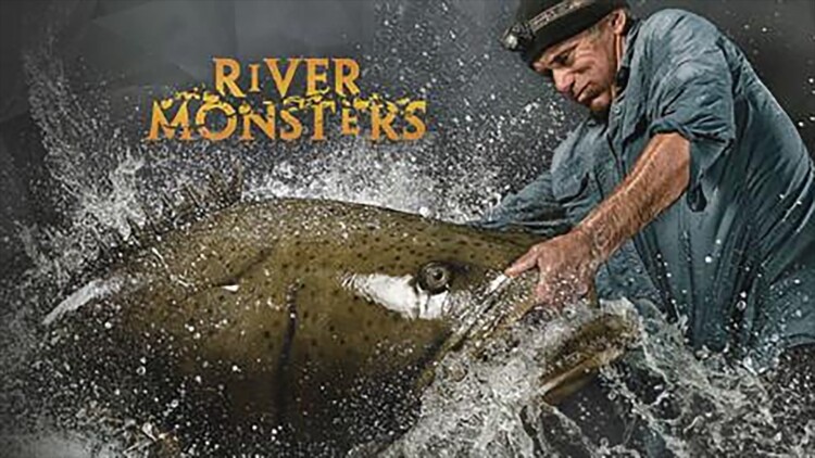 大学体战少年选手村