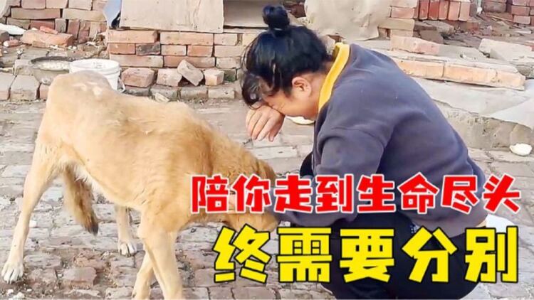 体坛秘史AND1的兴衰