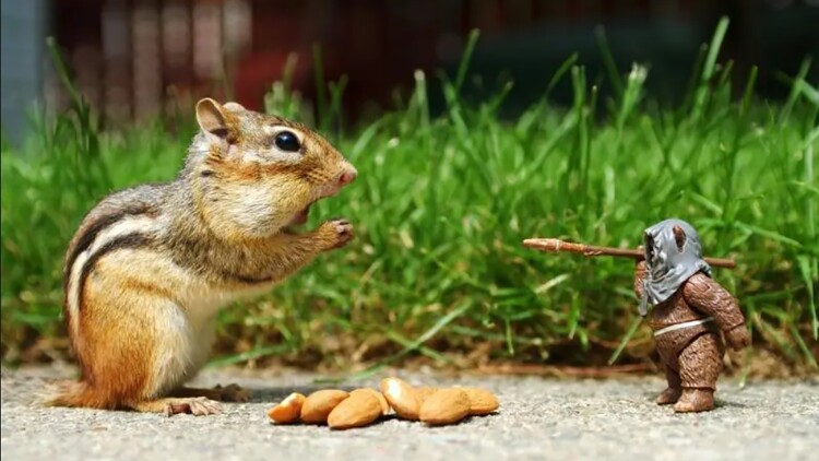 电磁王之霹雳父子