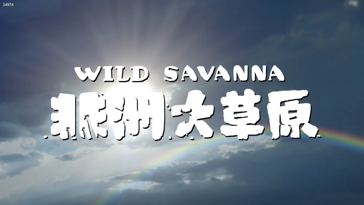 典当灵魂来爱你：灵魂契约带来的纠葛与试炼