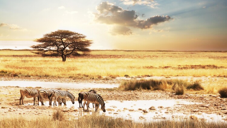 水属性魔法使：探索未知的水域