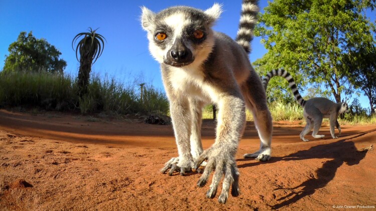 制胜系统请叫我金牌律师