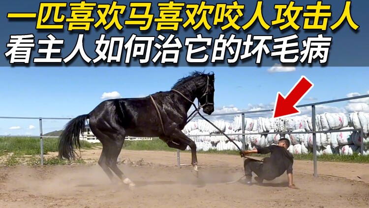 家族荣耀之继承者国语