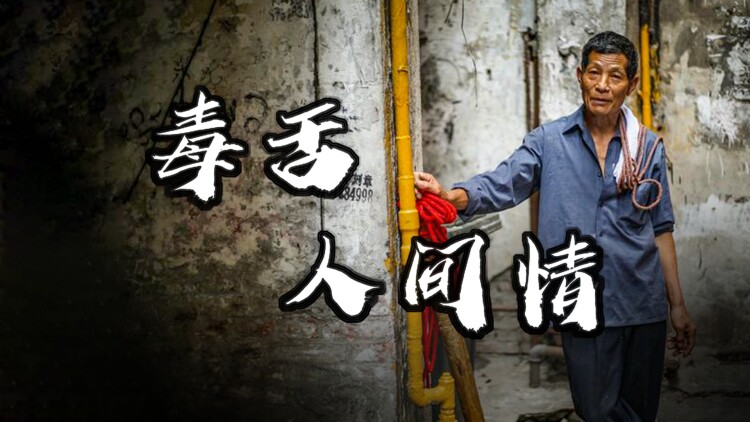 撩宠玫瑰·初遇惊艳