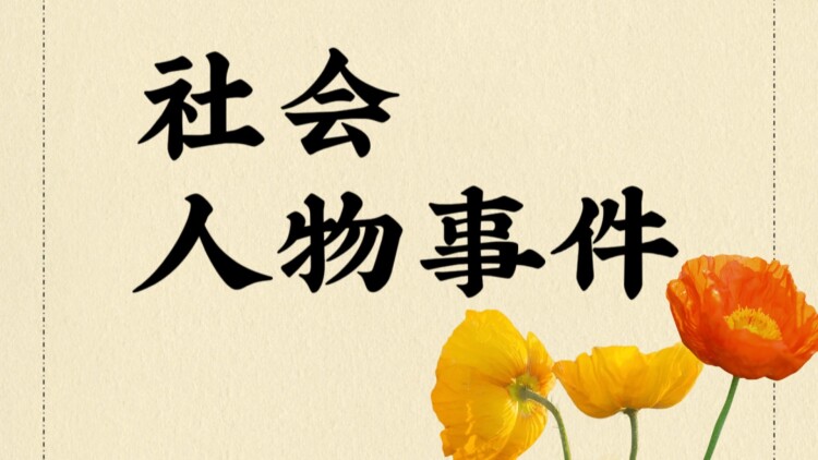 夫人莫装柔弱为夫看见你打人了