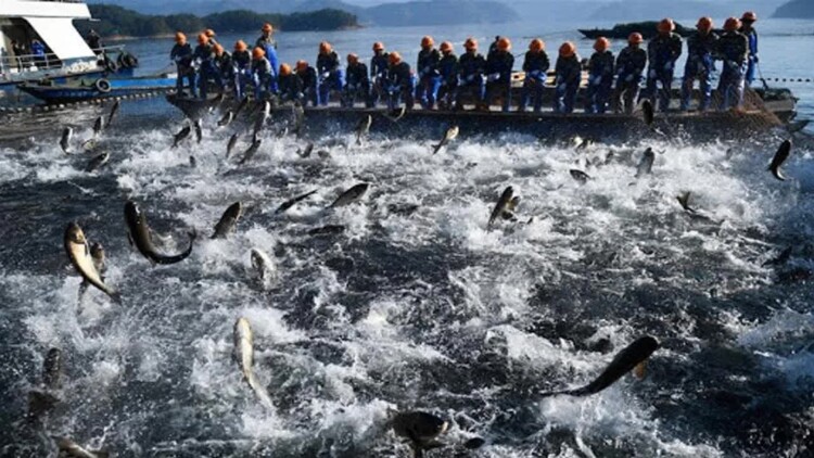 团圆终有时·回归与相守