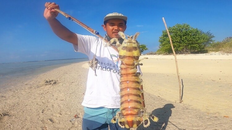 结论：相爱不一定要天天在一起