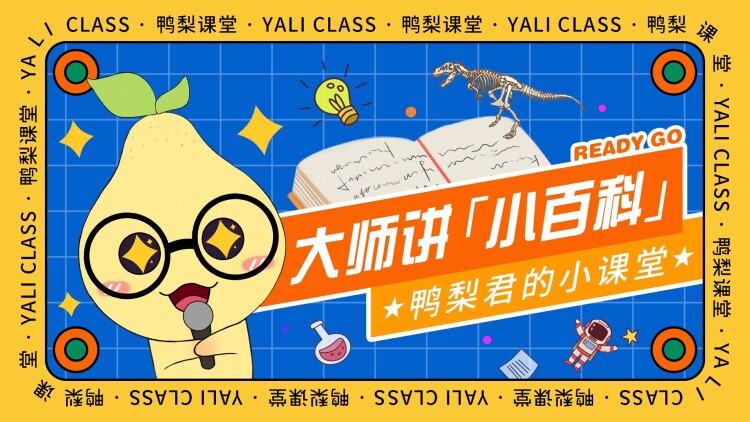 宝贝老板圣诞红利