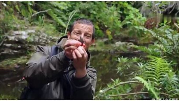 1U机箱：紧凑设计与扩展性兼顾