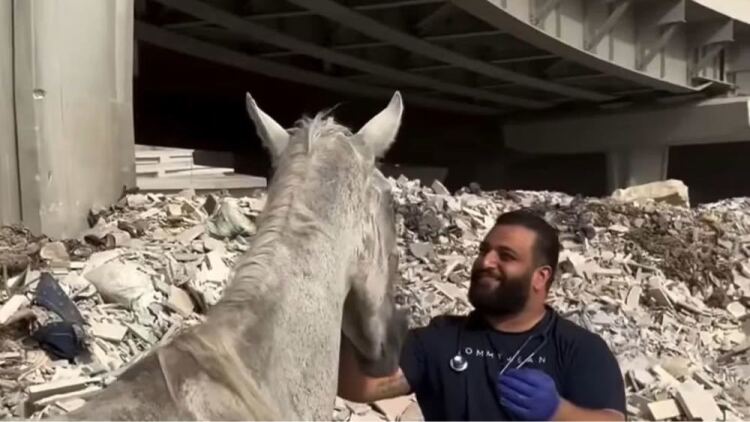 家家有本难念的经短剧版·家庭聚会的烦恼