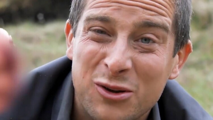 Sline：梦想与未来