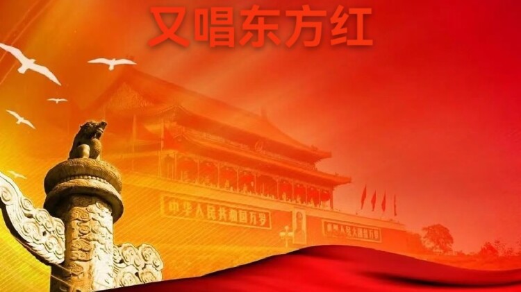 《我的哥哥不说话》沉默背后的故事