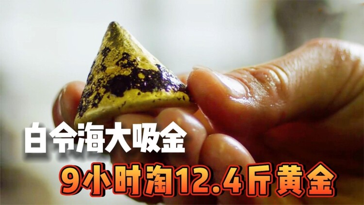 追捕连环杀手第二季