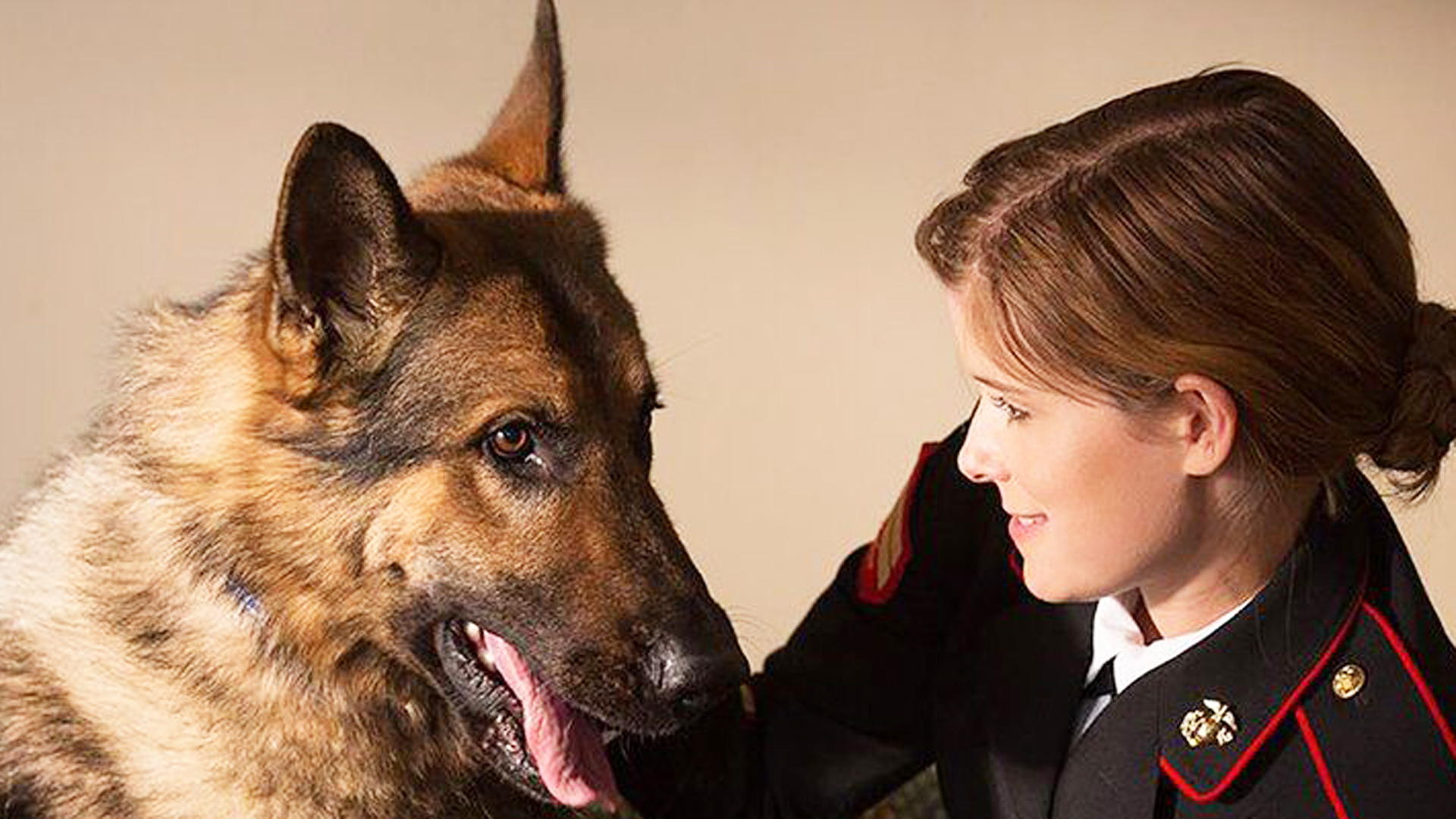 《战犬瑞克斯》终极预告 战地"英雄"或将安乐死?