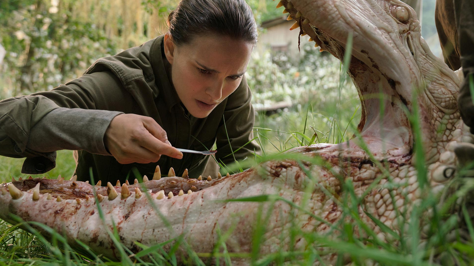 腾讯视频会员 svip