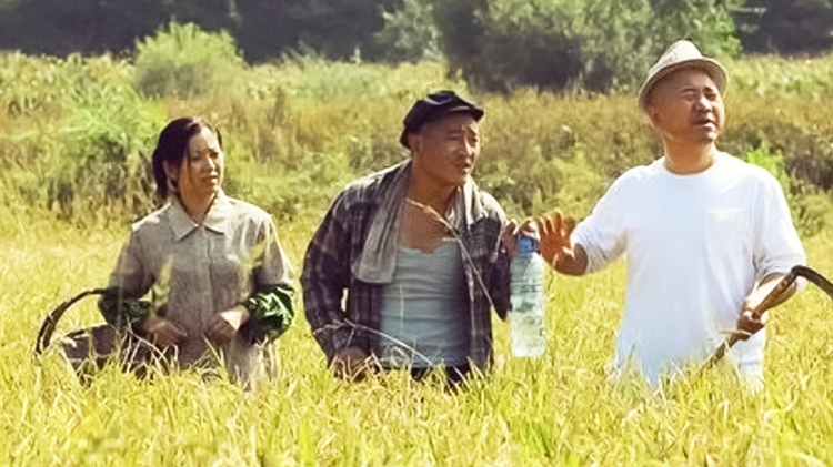 闪婚夫妻不好惹