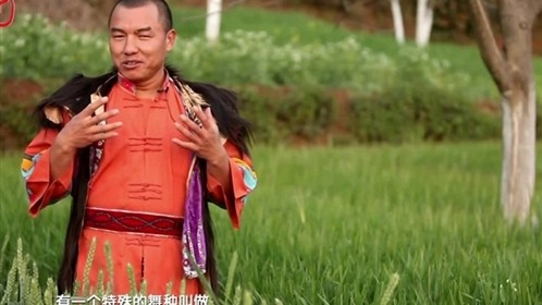 山东硬汉无敌神功铁砂掌