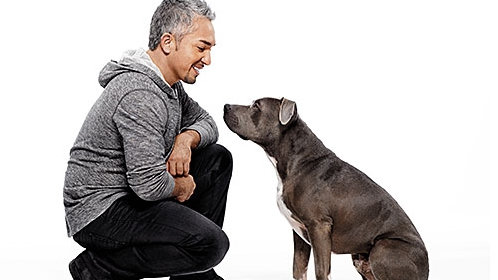 求助西泽:暴冲小怪兽_高清1080p在线观看平台_腾讯视频