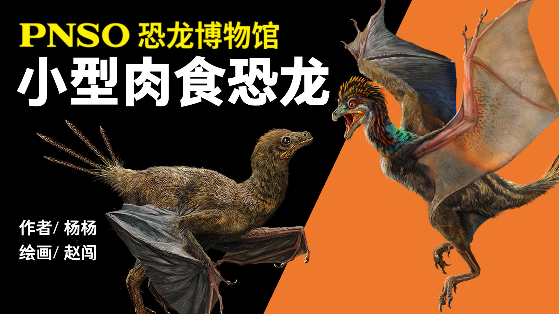 PNSO恐龙博物馆：小型肉食恐龙_第01集第一种被发现长有羽毛的恐龙——中华龙鸟羽颜_少儿_动画片大全_腾讯视频