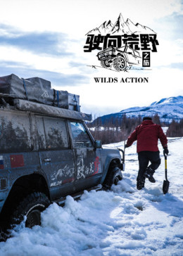 驶向荒野之旅