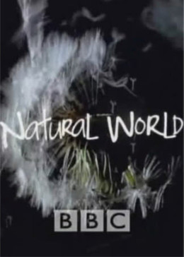 BBC自然世界
