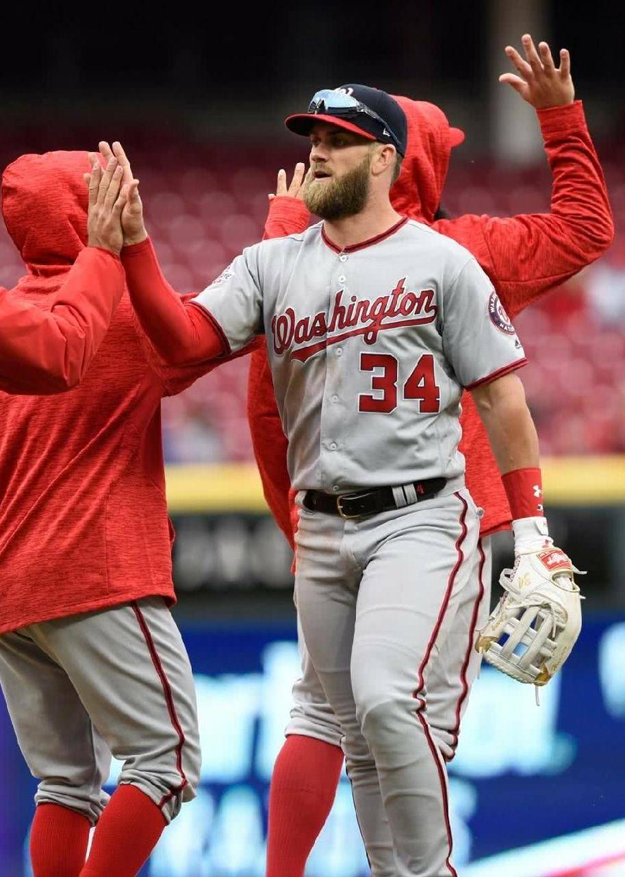 2018美国职棒大联盟扬基vs国民