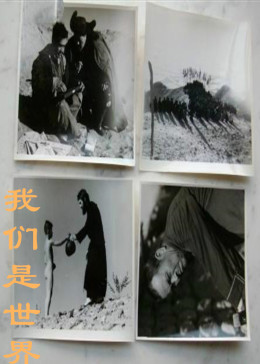我们是世界封面图