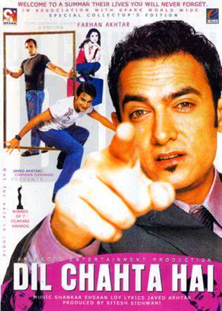 心归何处dilchahtahai电影