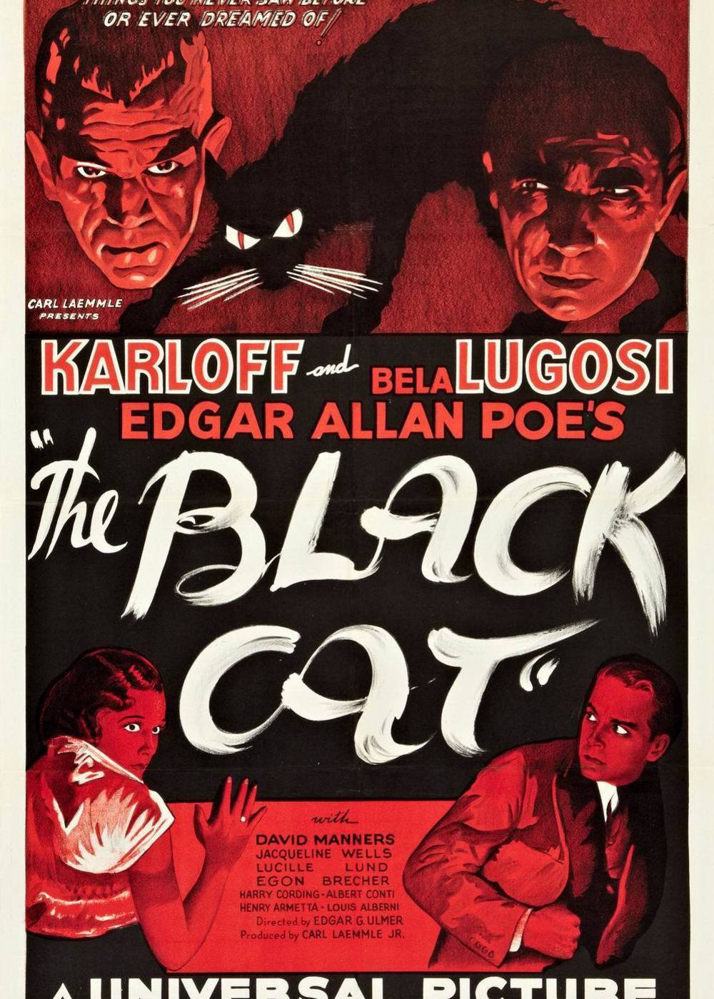 漫威黑猫独立电影图片
