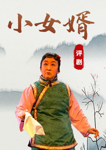 评剧音配像小女婿筱白玉霜版