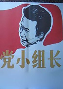 党小组长