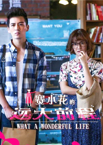 赛小花的远大前程封面图