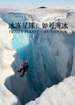 冰冻星球第1季