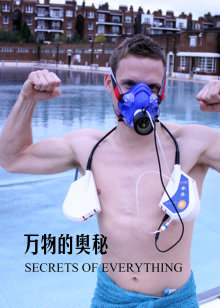 万物的奥秘海报