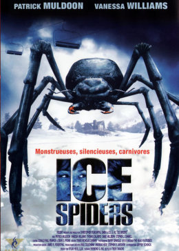 冰冻蜘蛛