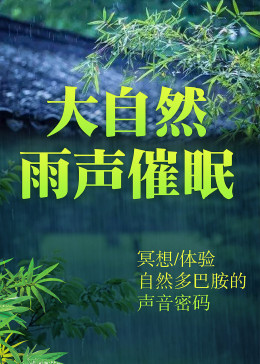 大自然雨声催眠